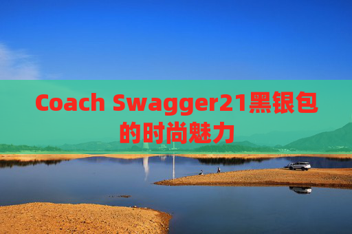Coach Swagger21黑银包的时尚魅力